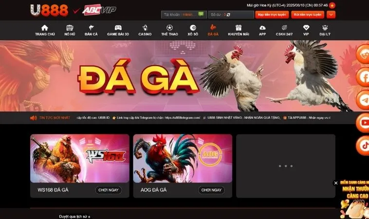 Tham Gia Đá Gà Tại U888 Kịch Tính Nhận Thưởng Khủng Ngay Hôm Nay 1 Giao diện Đá Gà U888 thiết kế giao diện đẹp, chuyên nghiệp