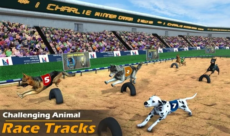 Đua Chó Tại U888 Cơ Hội Thắng Thưởng Khủng Hôm Nay 2 Giao diện chơi game nhanh Đua Chó tại U888