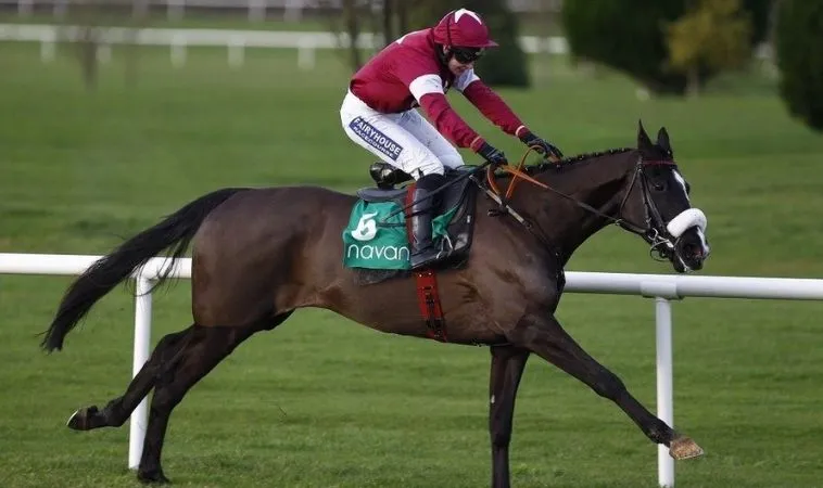 Cần tìm hiểu về bộ môn đua ngựa U888 trước hi cá cược